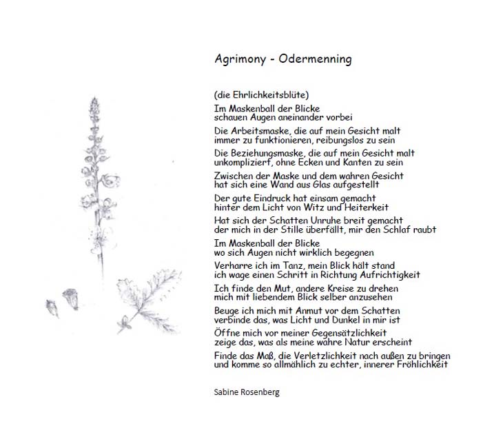 Bild "Bachblüten:Gedicht_Agrimonyb730.jpg"