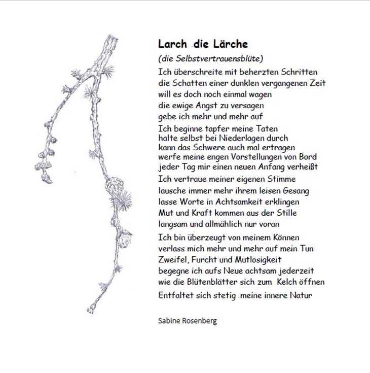 Bild "Bachblüten:Gedicht_Larchb730.jpg"