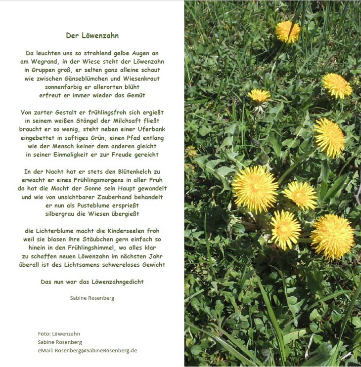 Bild "Willkommen:Gedicht_Loewenzahnb730.jpg"